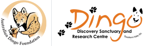 Australian Dingo Foundation Logo